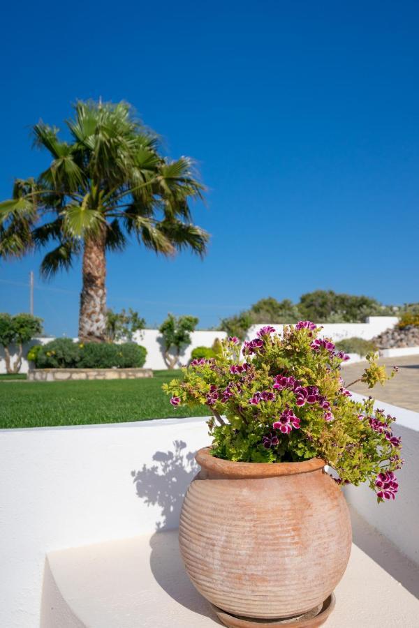 Georgia'S Apartments Kouremenos Beach Anevato 外观 照片